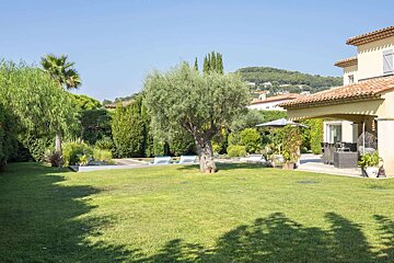Sunny private garden with green lawn, olive tree, pool, and house patio. Clear blue sky overhead.