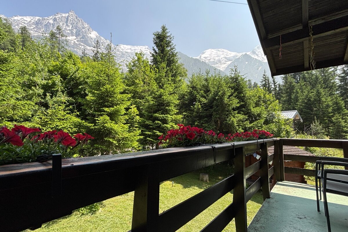 Balcony view with red flowers, lush green forest, and majestic snow-capped mountains under a clear sky.