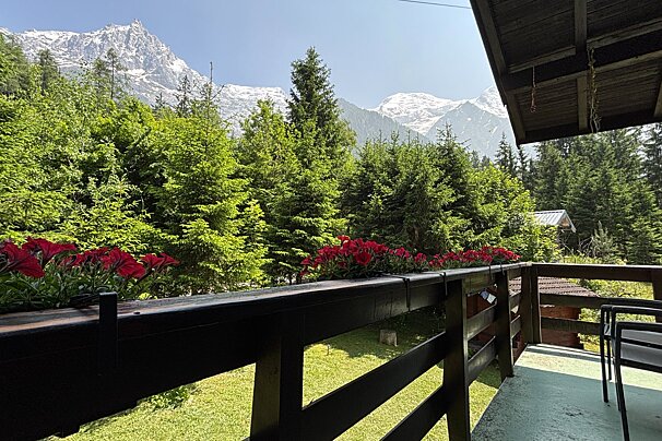 Balcony view with red flowers, lush green forest, and majestic snow-capped mountains under a clear sky.
