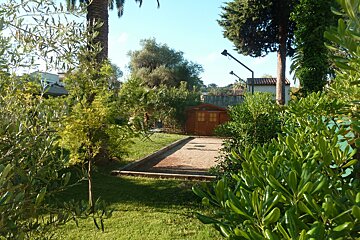 A wooden shed sits in the middle of a lush green garden