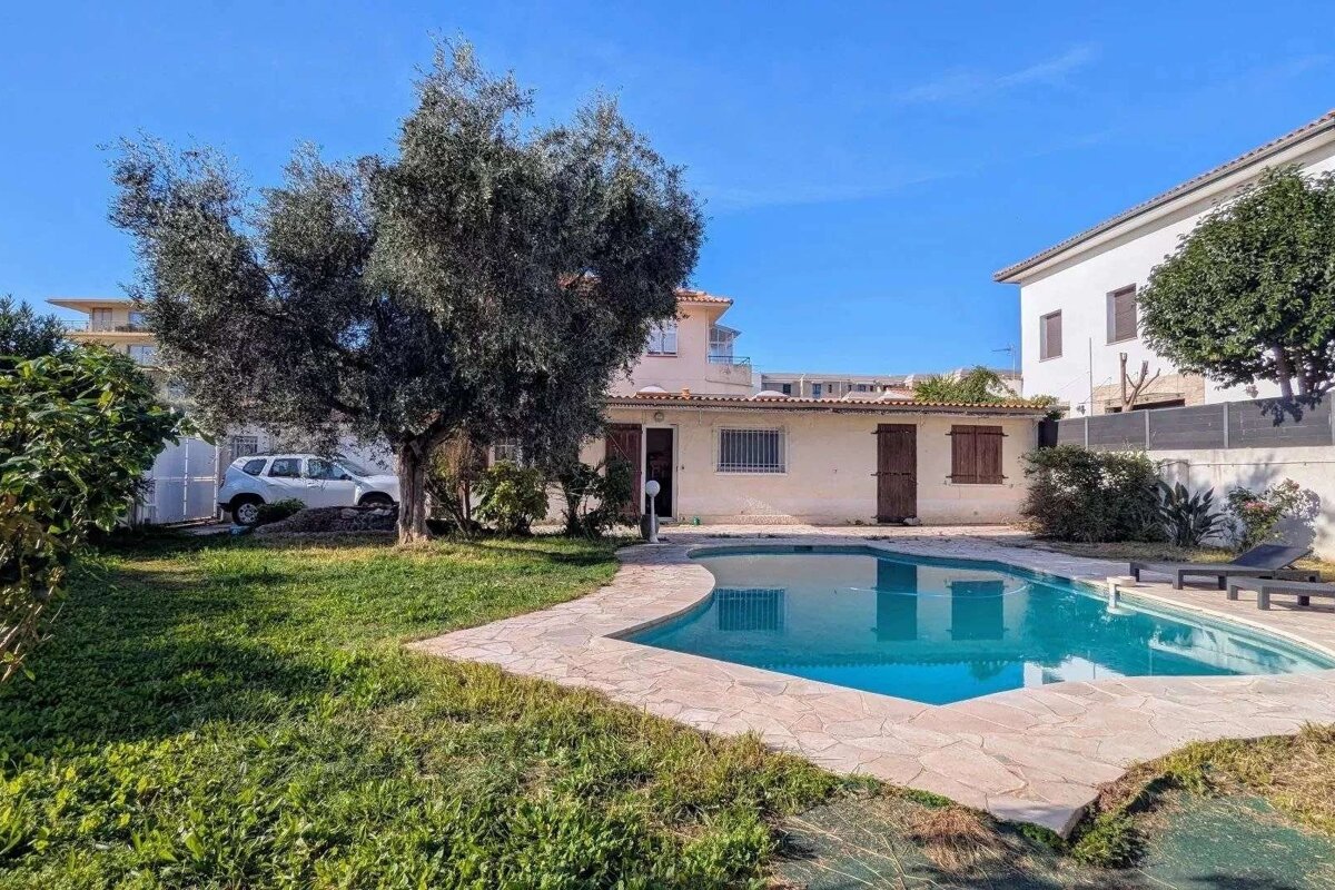 A sunny backyard with a blue swimming pool, green lawn, a large olive tree, and white houses under a clear blue sky.