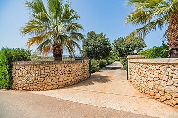 A sunny entrance with stone walls and large palm trees framing a long driveway leading through lush greenery under a clear blue sky.