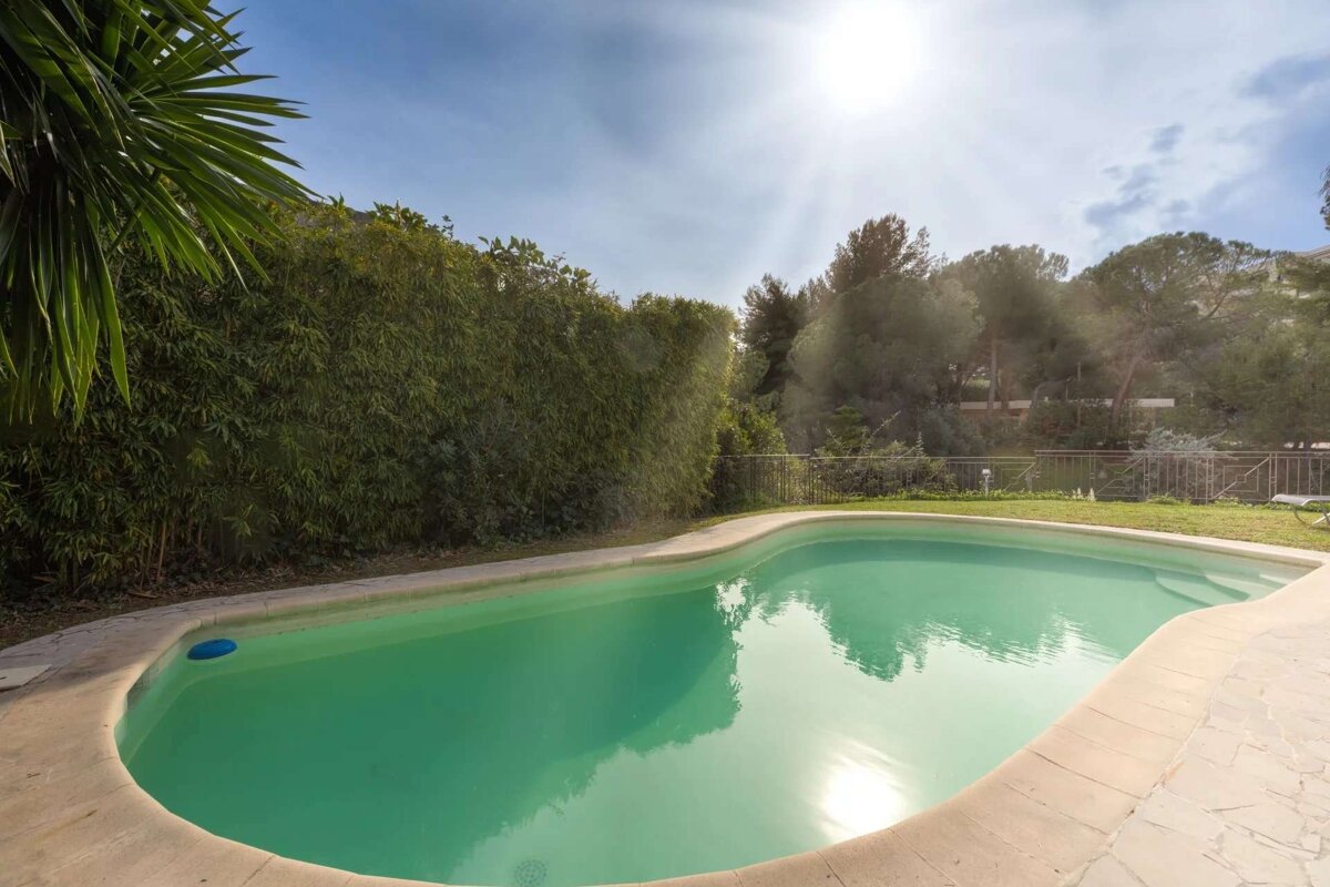 A sunlit outdoor swimming pool with pale green water, bordered by a dense green hedge and trees under a clear blue sky.