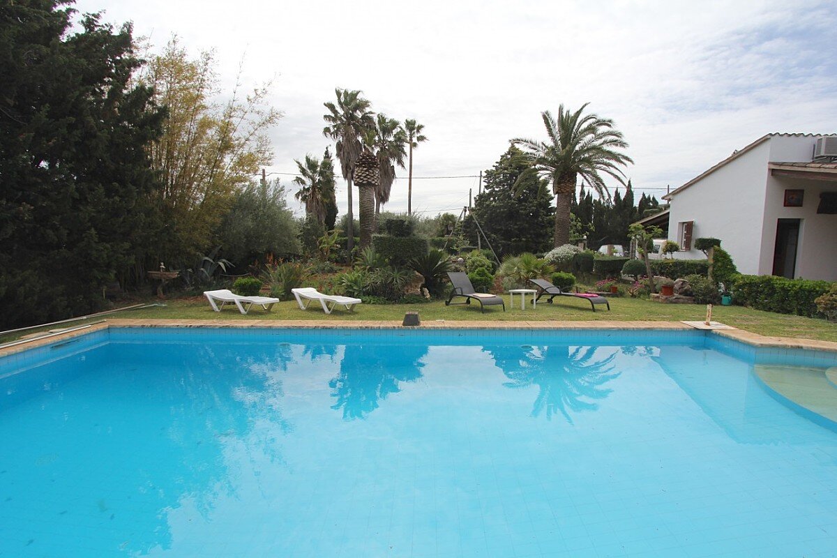 A large swimming pool surrounded by chairs and palm trees