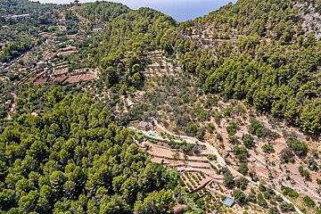 An aerial view of a forest with a house in the middle