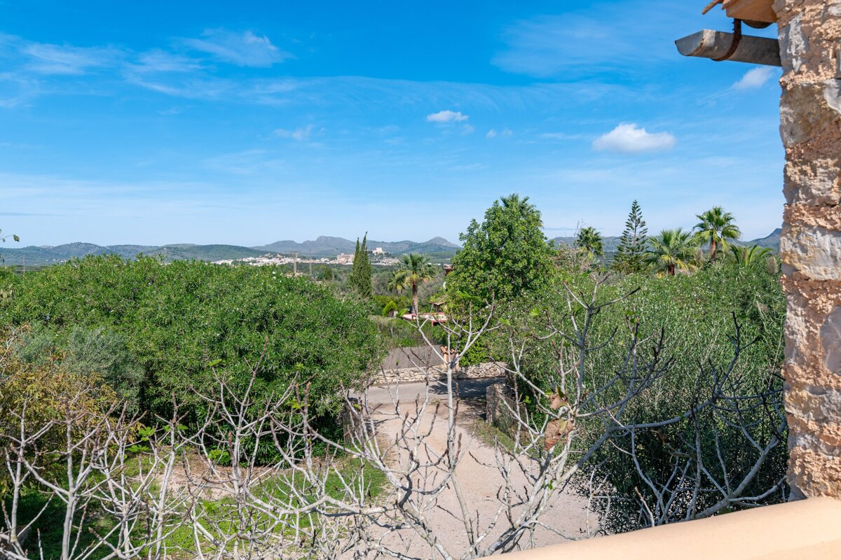 A view of a lush green forest with mountains in the background