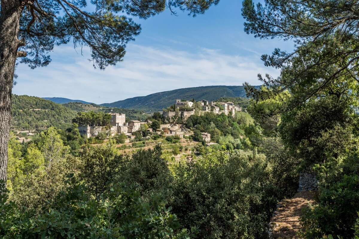 A small village is surrounded by trees and mountains