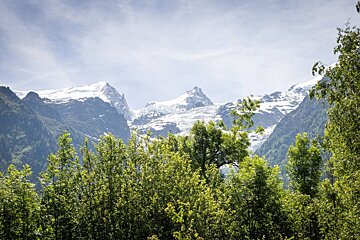 A mountain covered in snow is visible through the trees