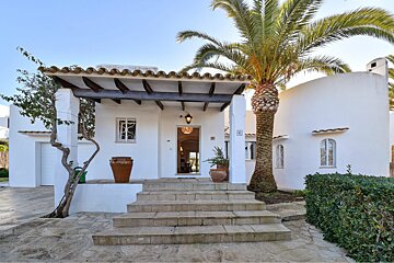 A white house with a palm tree in front of it