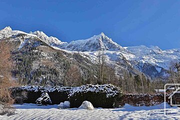 Stunning snowy mountain range with a forest under a clear blue sky. Snow covers the ground and hedges in the foreground.