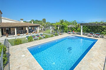 A large swimming pool with a seahorse on it