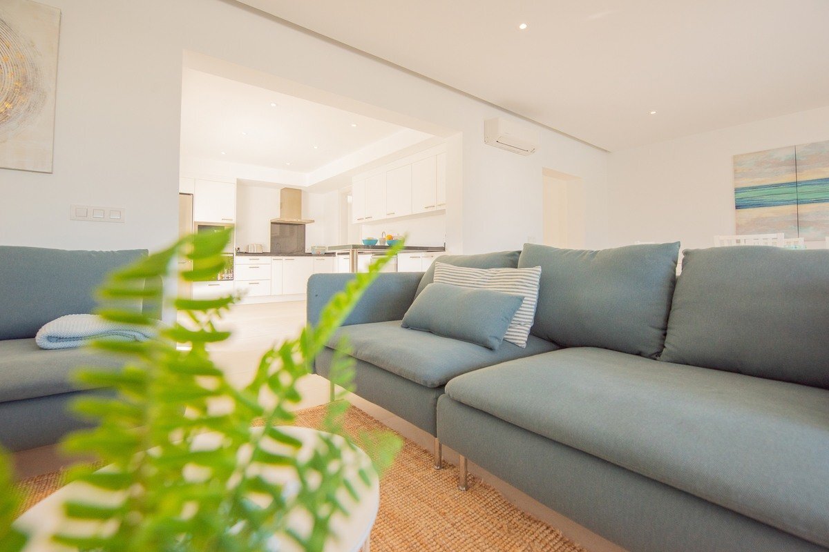 A couch in a living room with a plant in front of it
