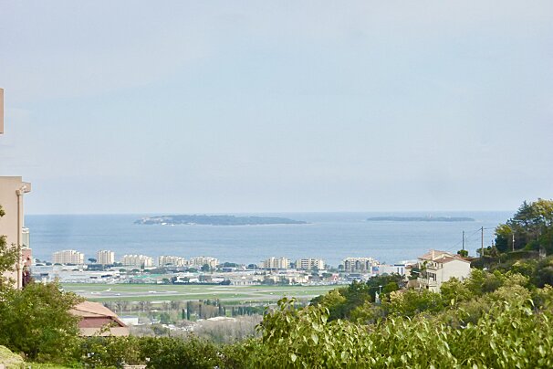 A view of a city with the ocean in the background