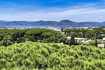 An aerial view of a coastal town by a bay with boats and mountains. Lush green pine trees fill the foreground under a clear blue sky.