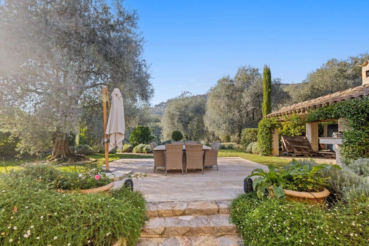 An idyllic outdoor dining patio with stone steps, lush greenery, ancient olive trees, and a charming, ivy-covered building under a bright blue sky.