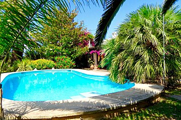 A large swimming pool surrounded by palm trees and flowers