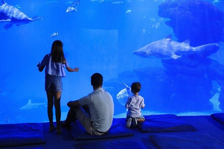 Palma Aquarium