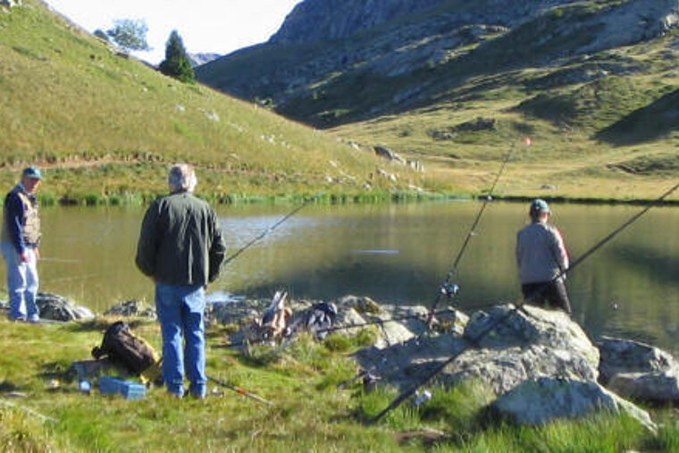 Catching Some Fish