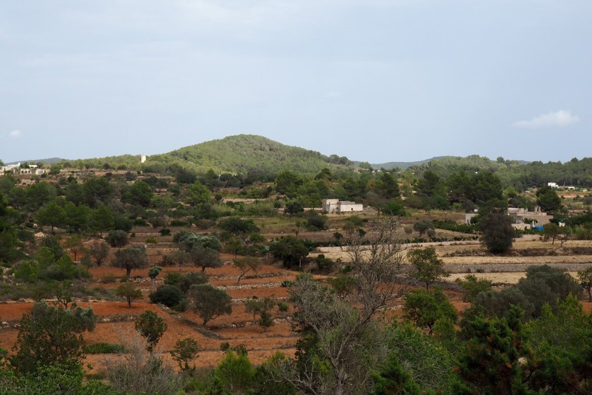 the rural farmland of ibiza's nothern region and santa agnes