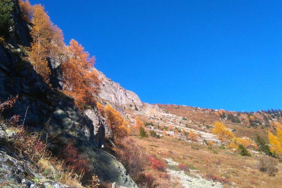 Autumn colours in a hike in chamonix