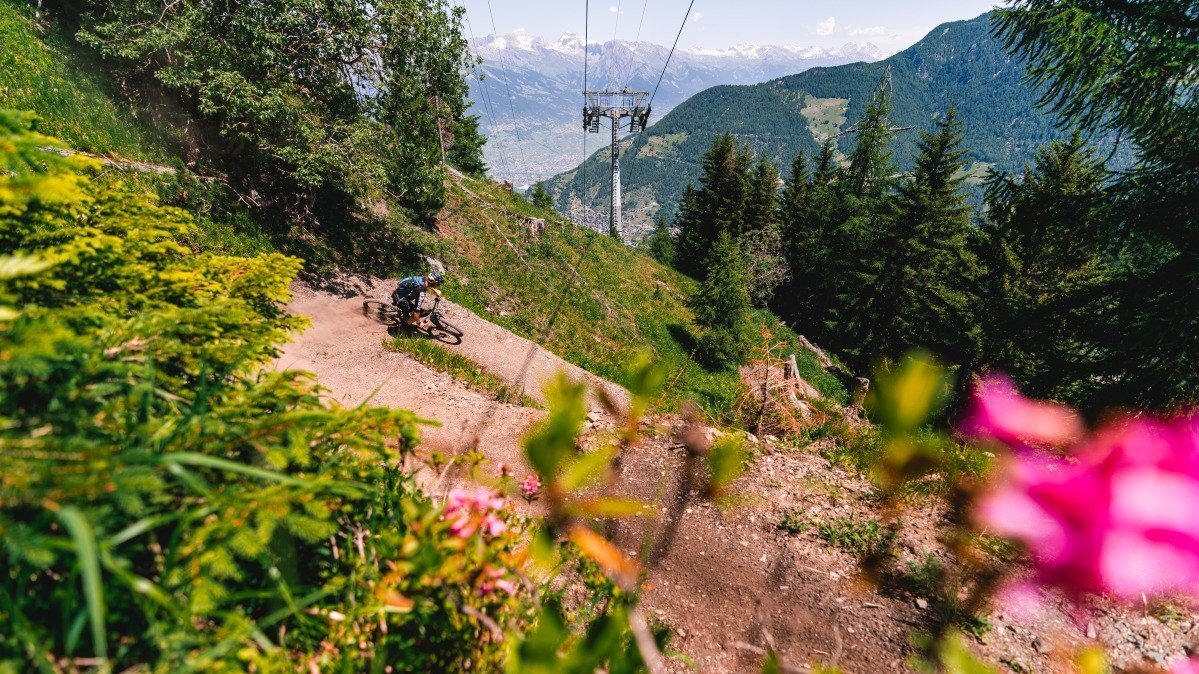 mountain bike pass