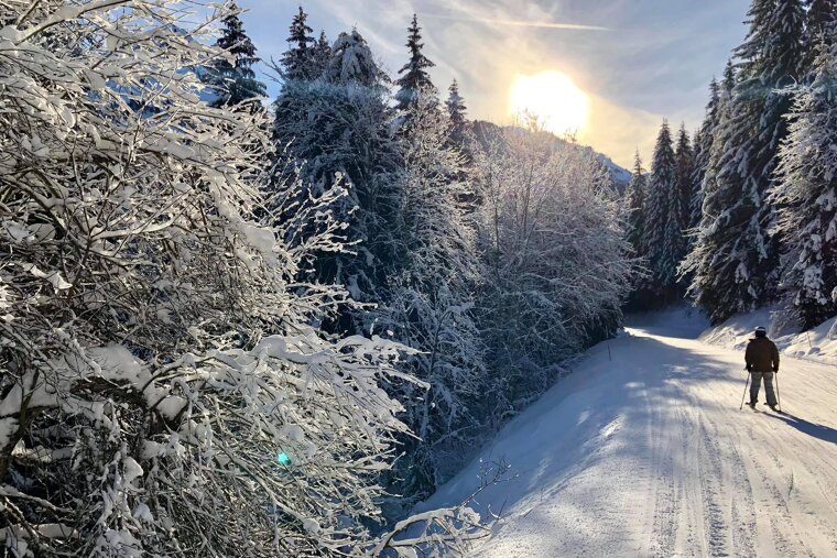 Morzine in February 2020 - What weather to expect & what to do
