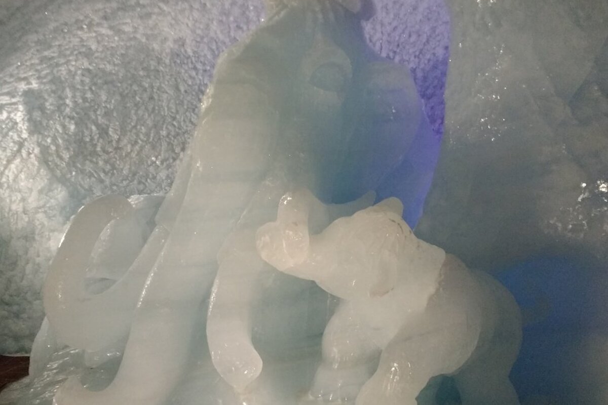 elephants carved in ice
