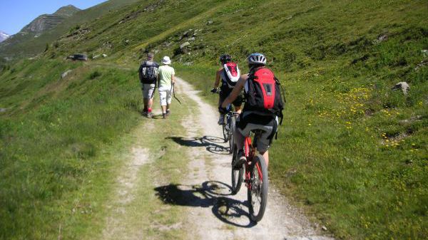 green mountain bike trail