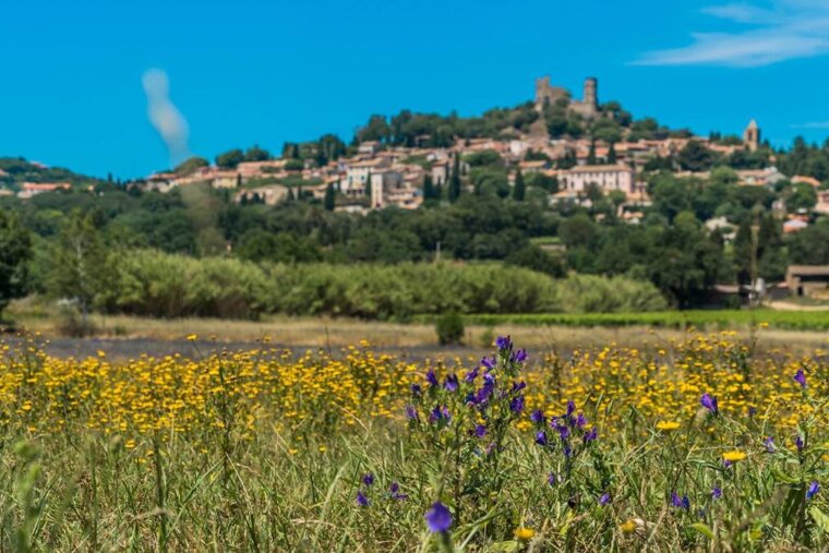 Grimaud