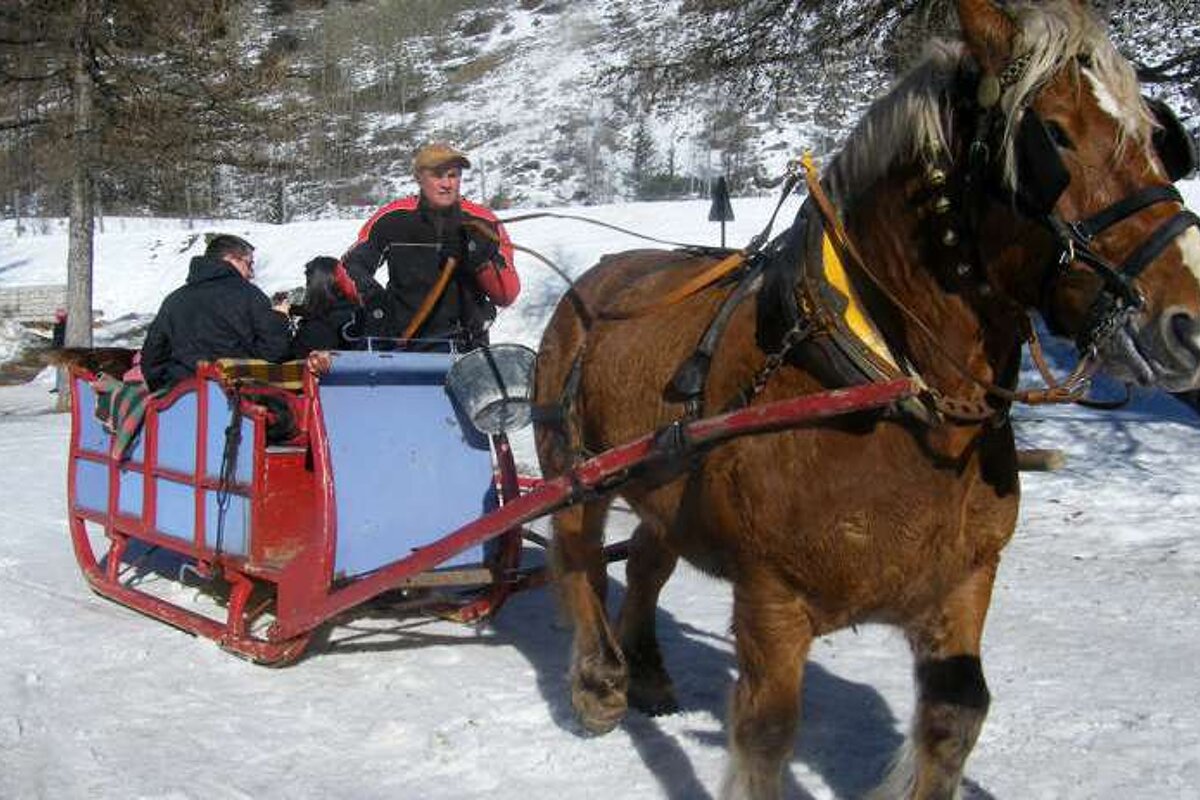 people being pulled by a horse in a sleigh