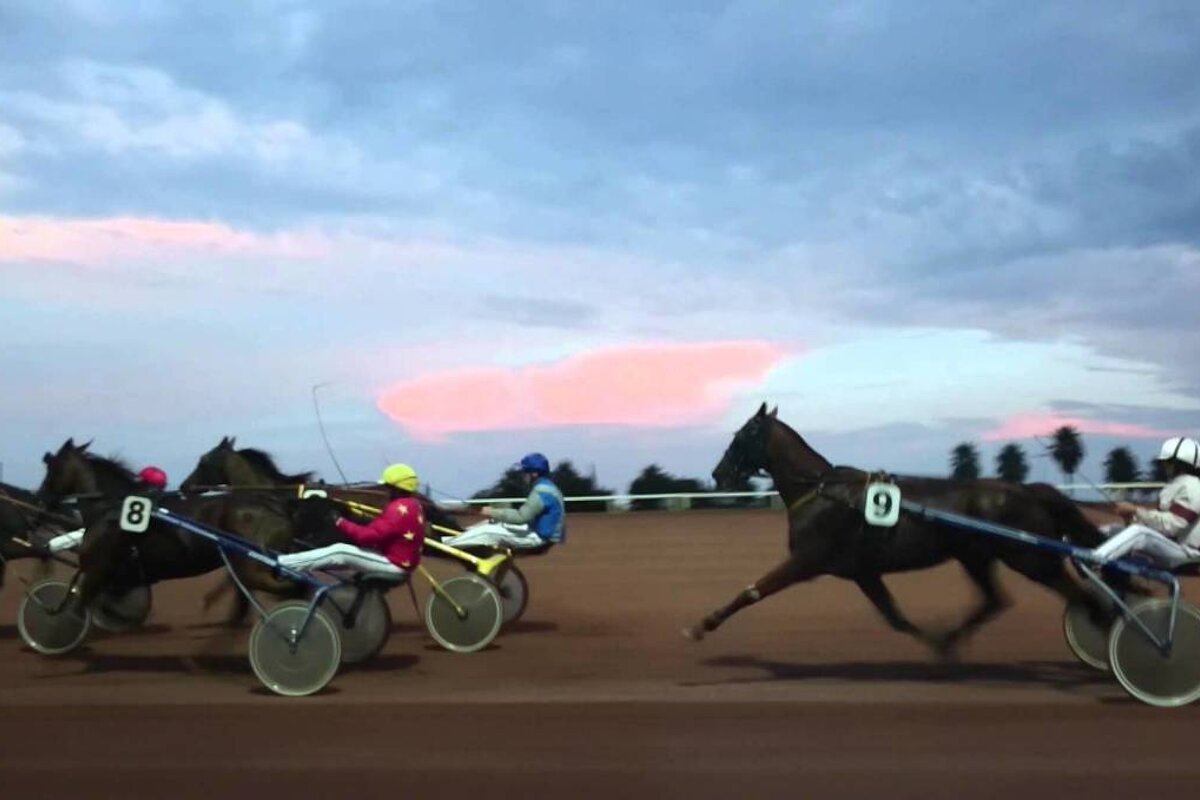 Summer Nights at the Hippodrome, Cagnes sur Mer