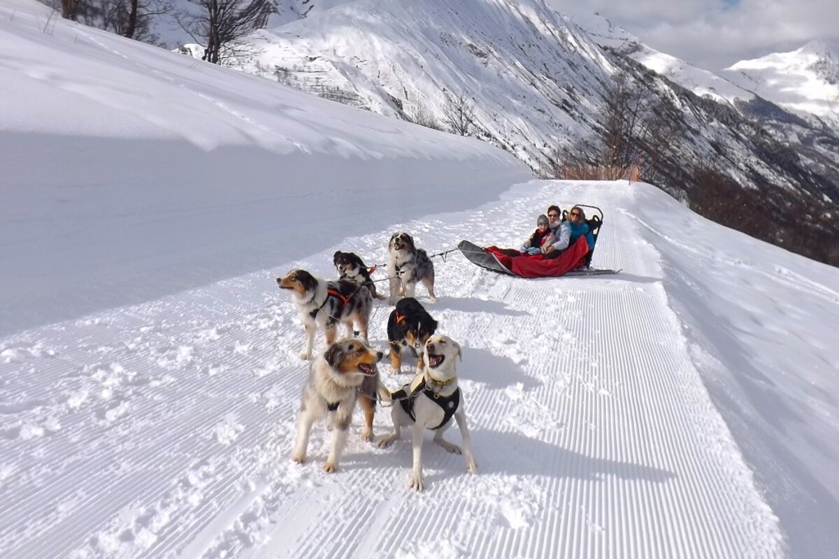 husky sledding in val thorens