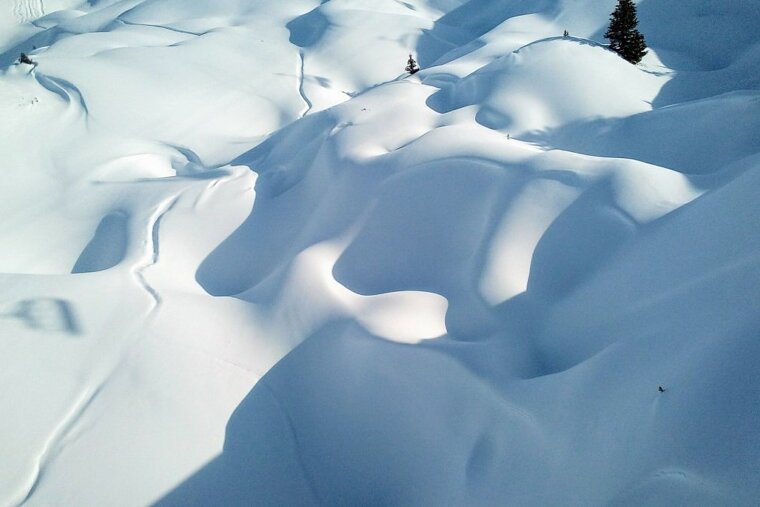 Velvety textures and shapes in the snow