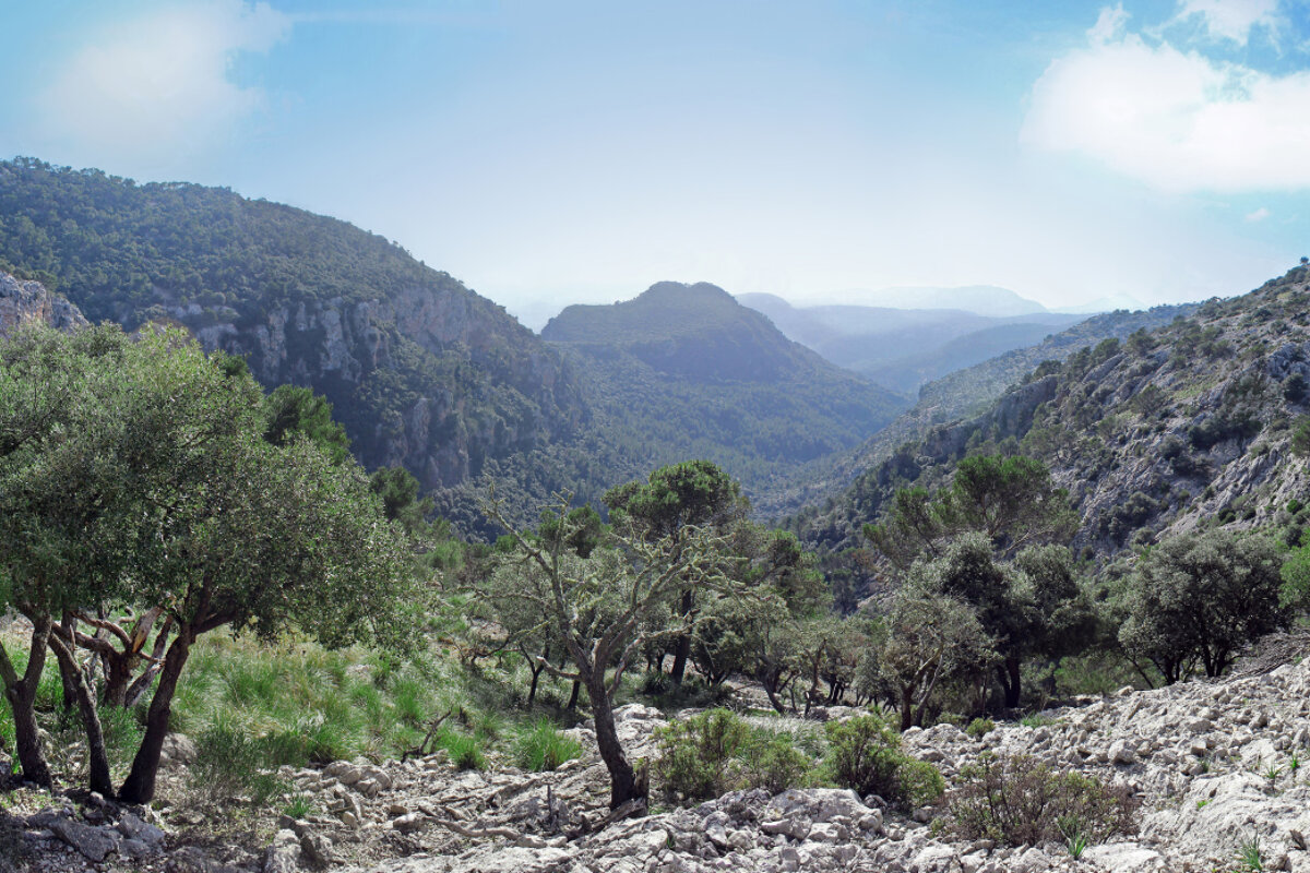 The serra de tramuntana mountain range in mallorca