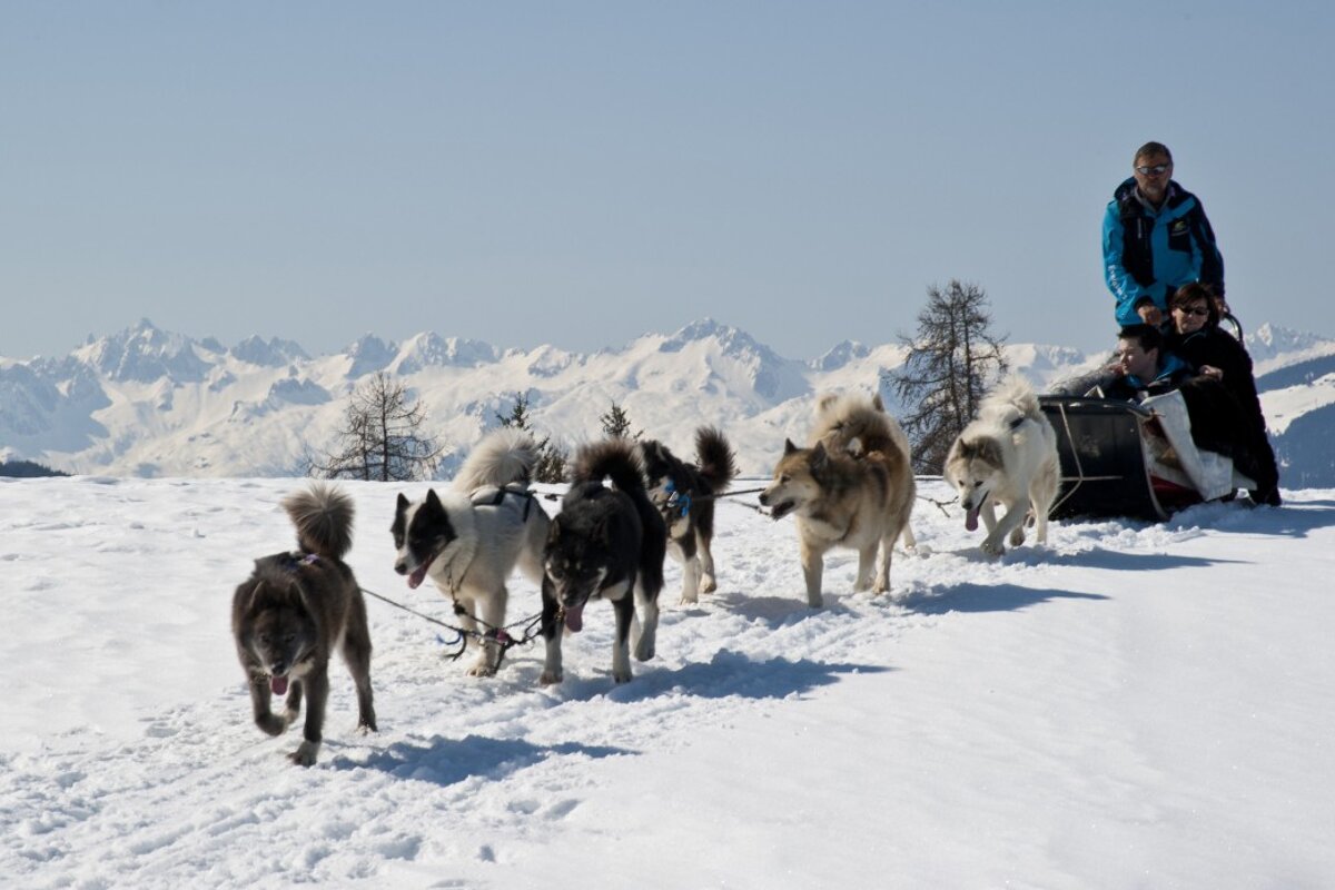 Huskies pulling a sledge