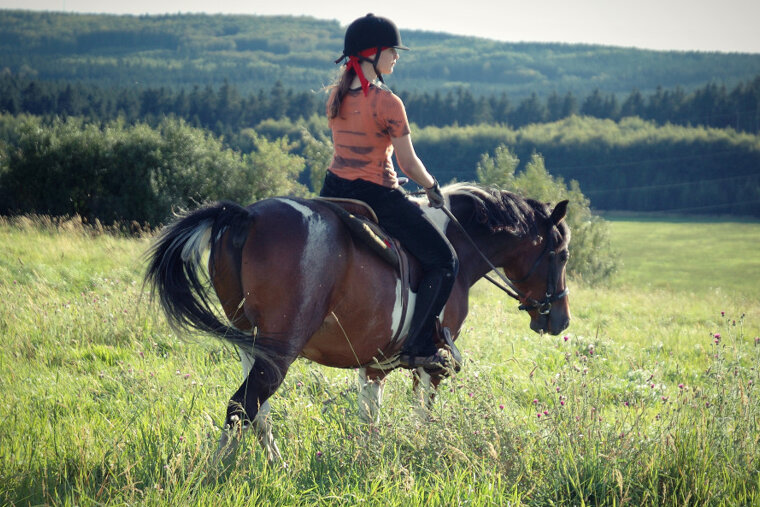 Horse Riding