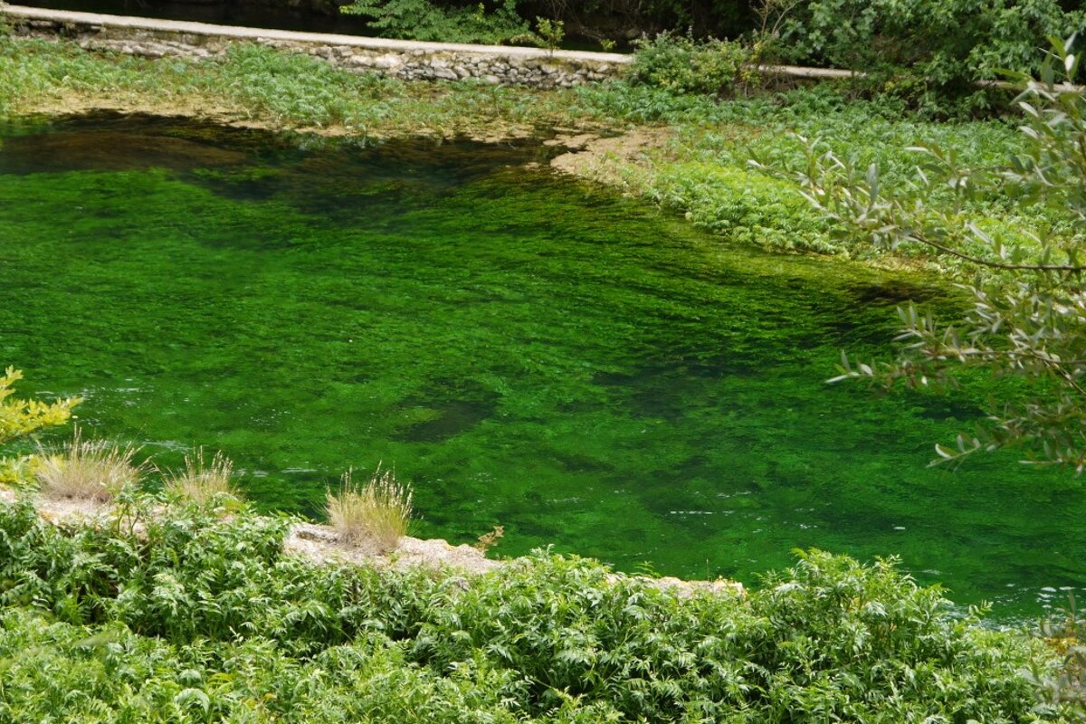 The River Sorgue