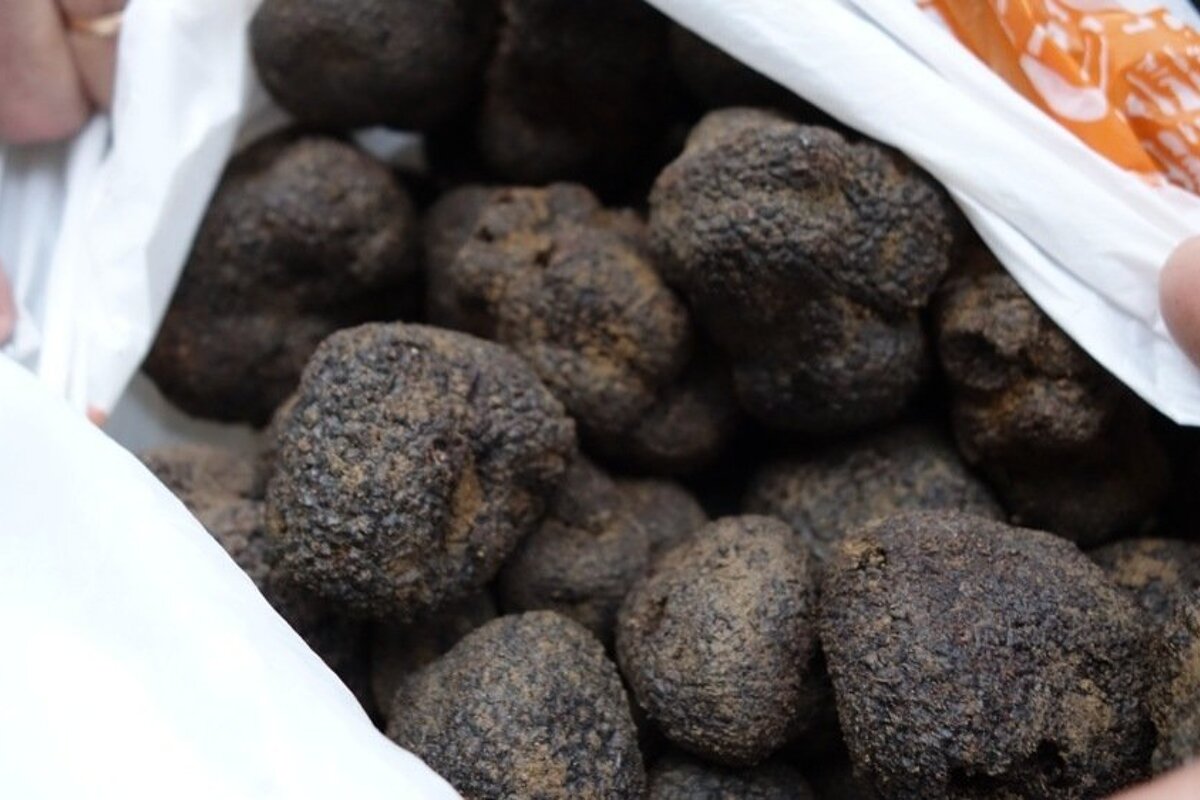 a bag of truffles