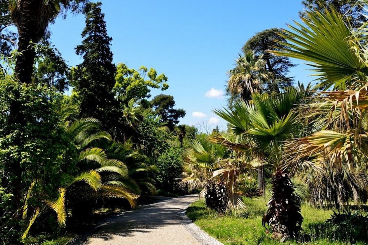 a pathway through the botanic gardens of villa thuret on cap d'antibes