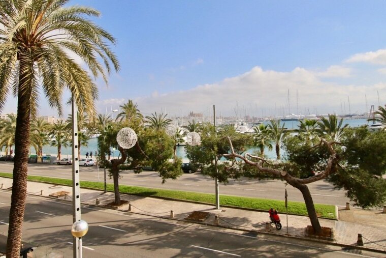 Paseo MarĂtimo Palma