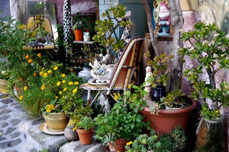 Pretty homes in the village of Biot