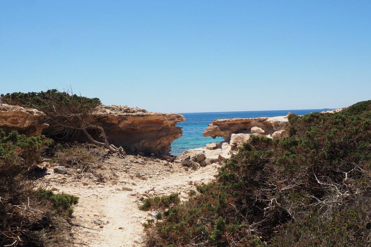 Hike through rugged wilderness of south ibiza