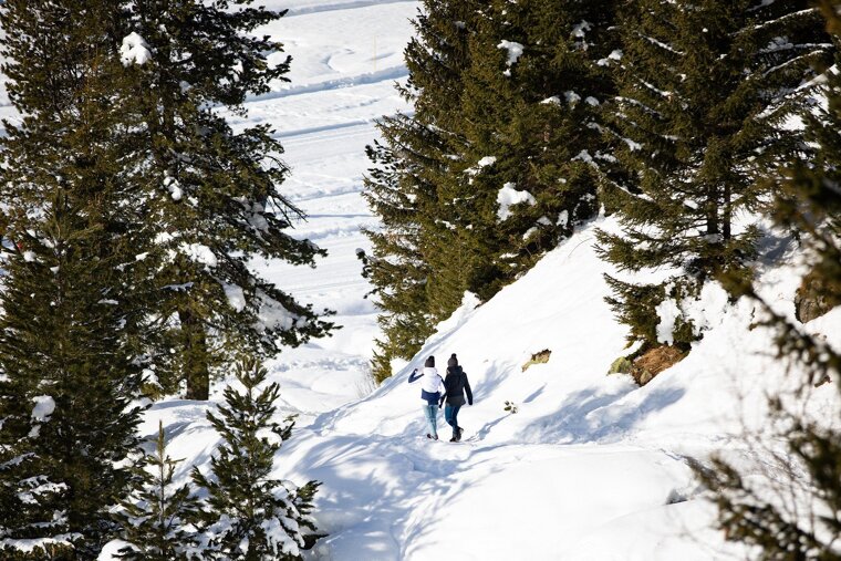 Winter walking in Meribel