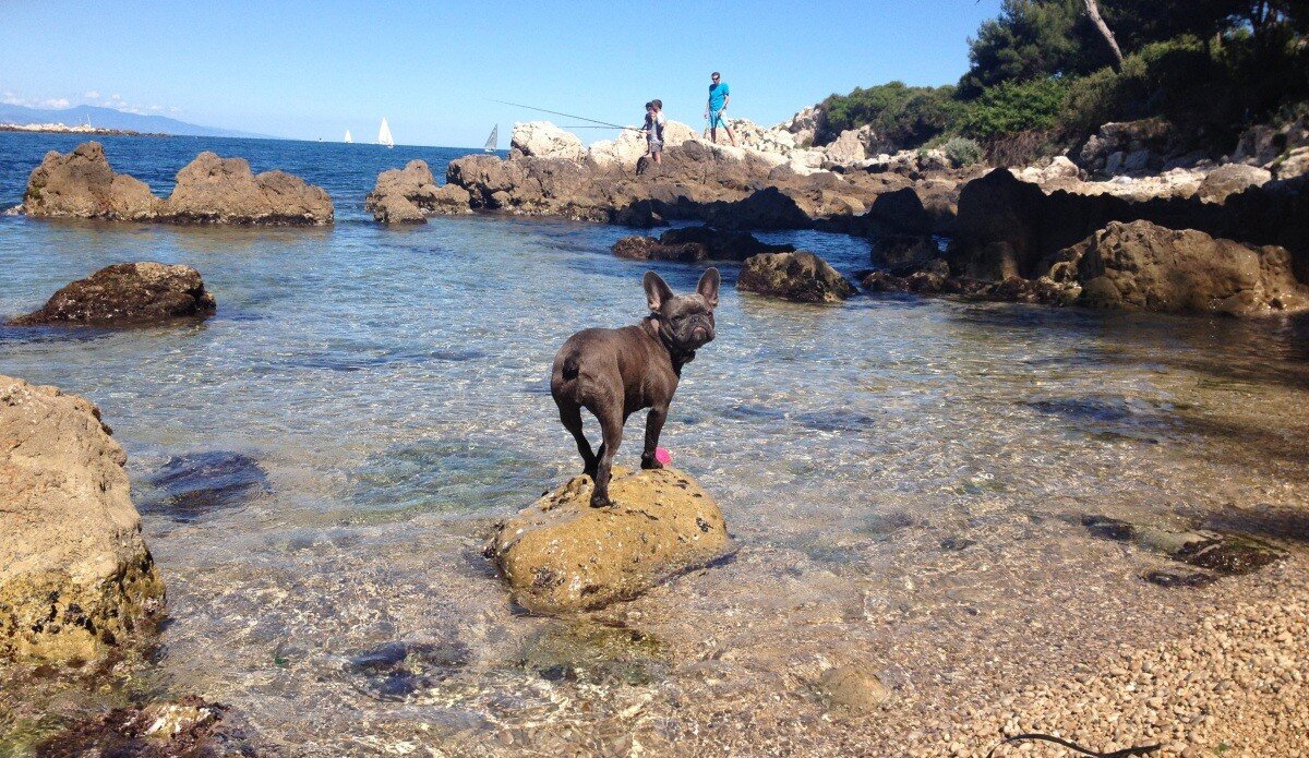 cap antibes