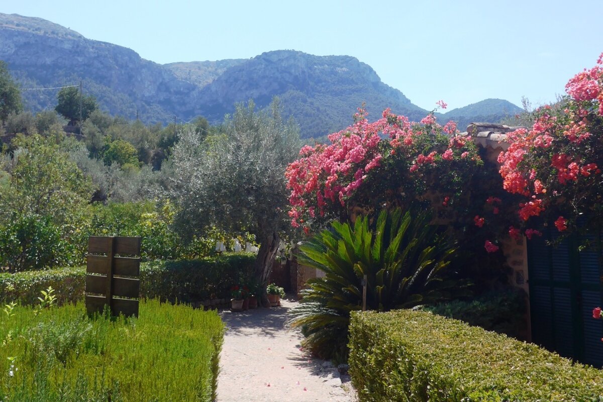 the gardens at a country house