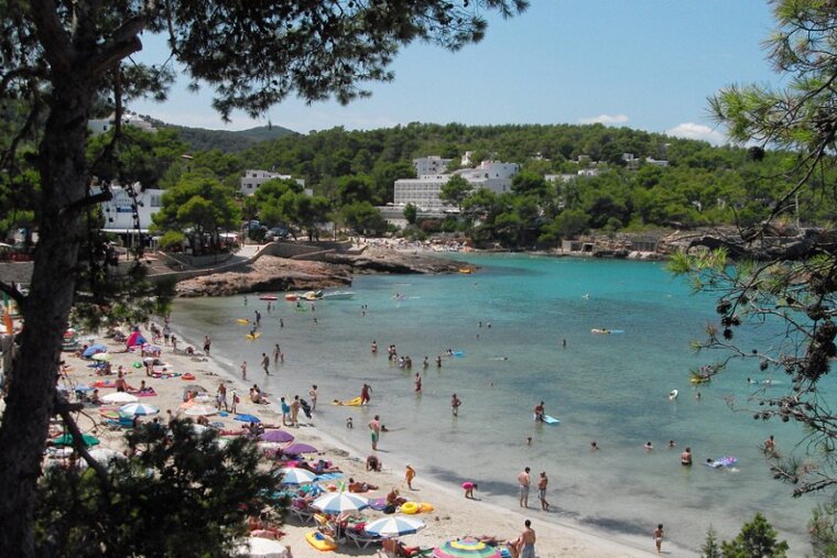 A view of the beach
