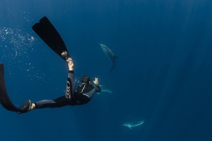 Best Diving Centres Antibes Seeantibes Com