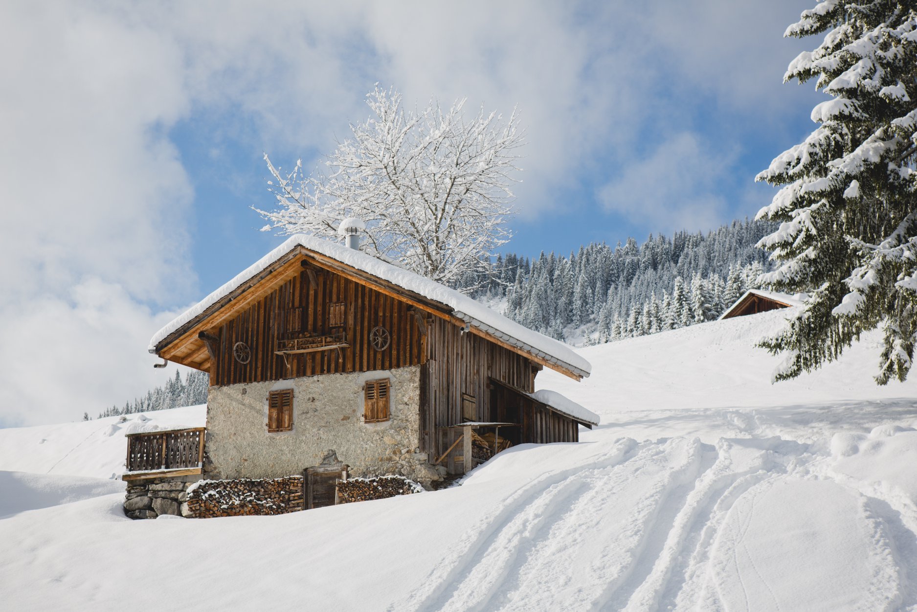 Law To Make Winter Tyres Mandatory In French Alps Seetignes Com