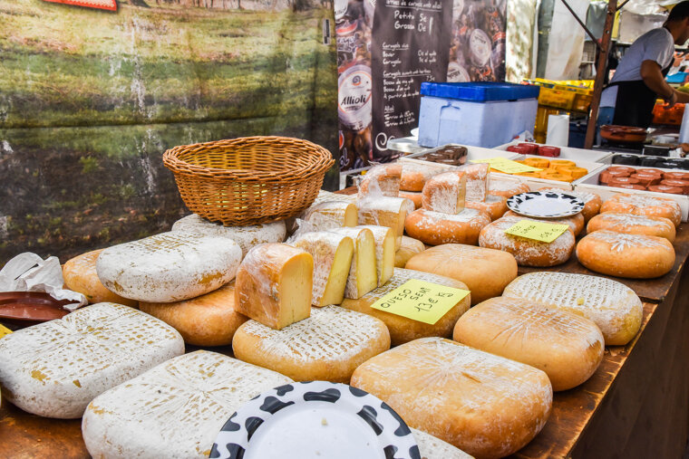 Cheese at Santa Maria del Cami Market