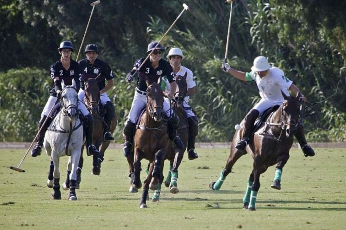 Polo Club Saint Tropez Horse Riding  Gassin SeeSaintTropez com